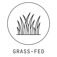 Nature's Gold: Vanilla Colostrum